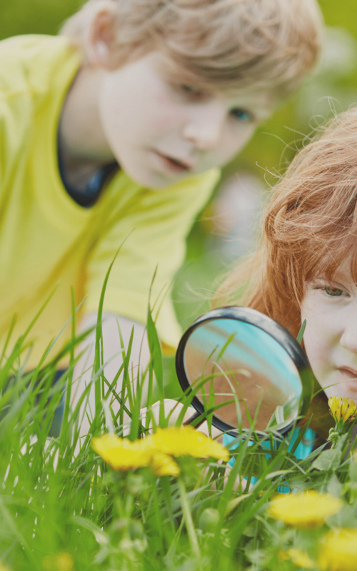 Ekologia dla dzieci – jak uczyć najmłodszych ochrony środowiska?